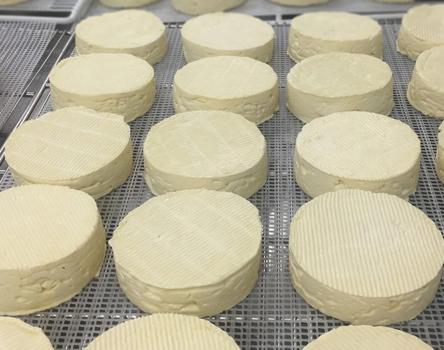 Caws Penhelyg rounds on trays