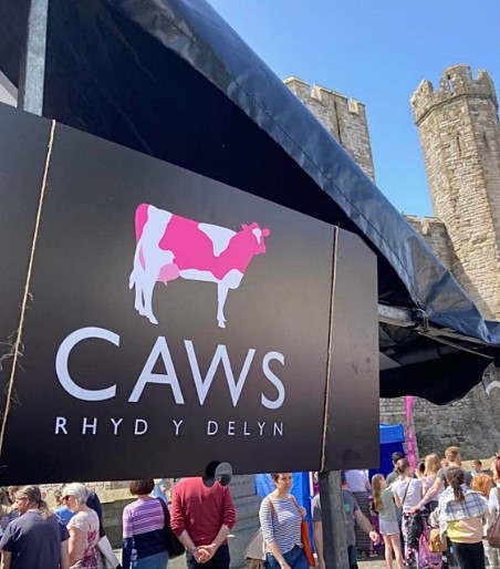 Caws Rhyd y Delyn at Caernarfon