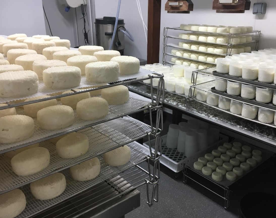 Cosyn Cymru cheese on racks