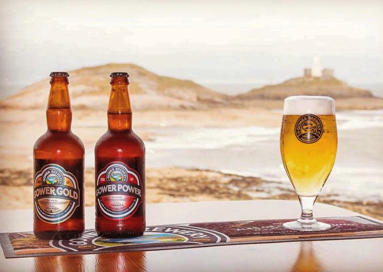 Gower Brewery bottles in landscape