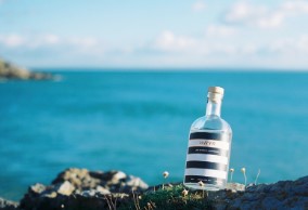Gower Gin by the sea