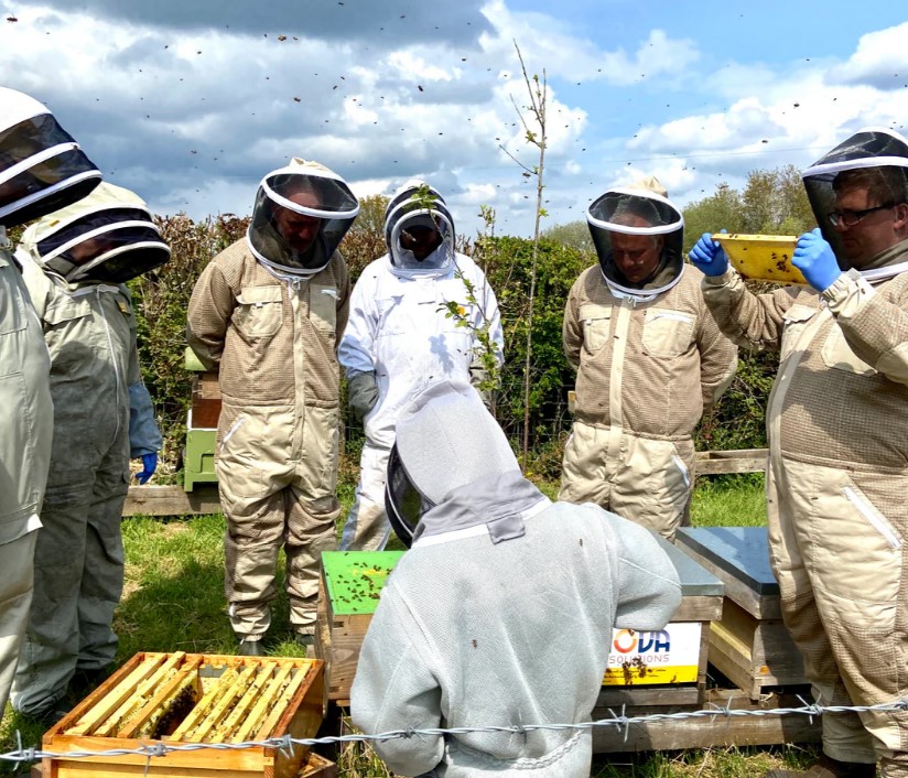 Gwneyn Gruffydd beekeeping