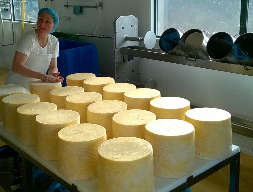 Hafod Holden Farm making cheese
