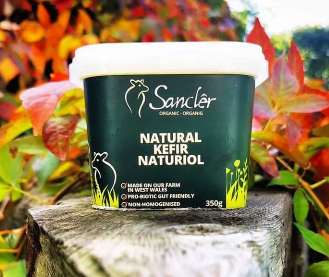 Sancler Organic kefir