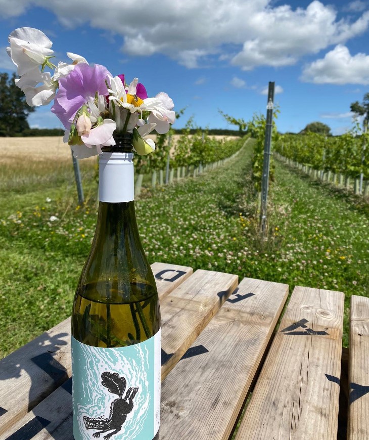 The Dell Vineyard vines and wineon table