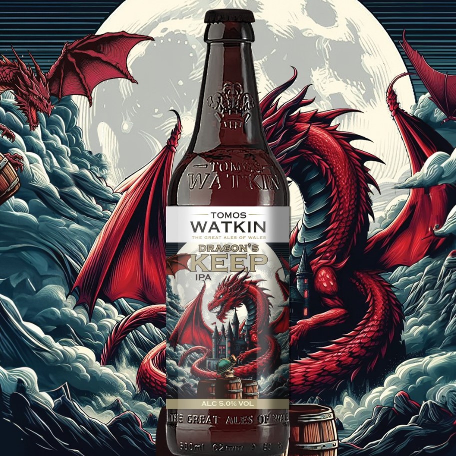 Tomos Watkin Dragon's Keep